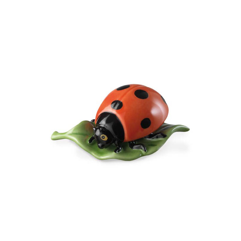 COCCINELLA